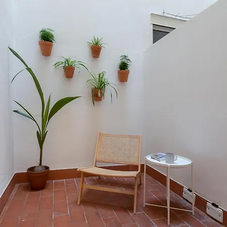 Puerta De Larios: Three-bedroom With Balconies And Patio