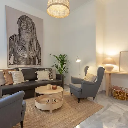 Puerta De Larios: Three-bedroom With Balconies And Patio Appartement